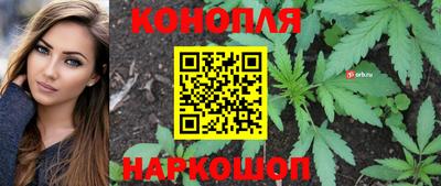 эйфоретик Шебекино
