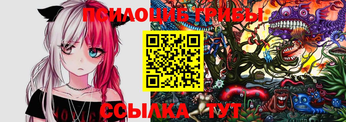 Псилоцибиновые грибы Psilocybine cubensis Алексеевка