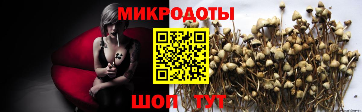 LSD-25  КОКАИН  Купить наркотик  Вход с VPN  Мефедрон   Гашиш  Алексеевка  Конопля 